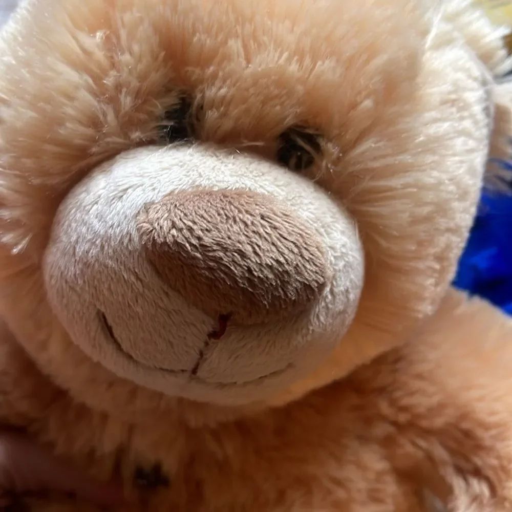 Build a bear bundle - Picture 7 of 9